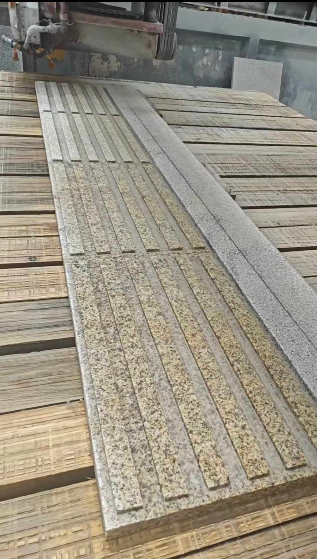 张家界黄金麻盲道石 盲条